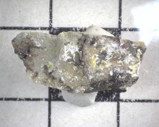20318 MM Maricopaite Mimetite Moon Anchor Mine Maricopa County Arizona USA 6082