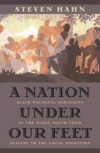 A Nation under Our Feet by Steven Hahn - - Image 6