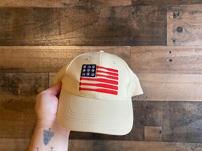 Baseball Bats Flag All American Hat Adult Mens Womens Dad Mom Cap America USA