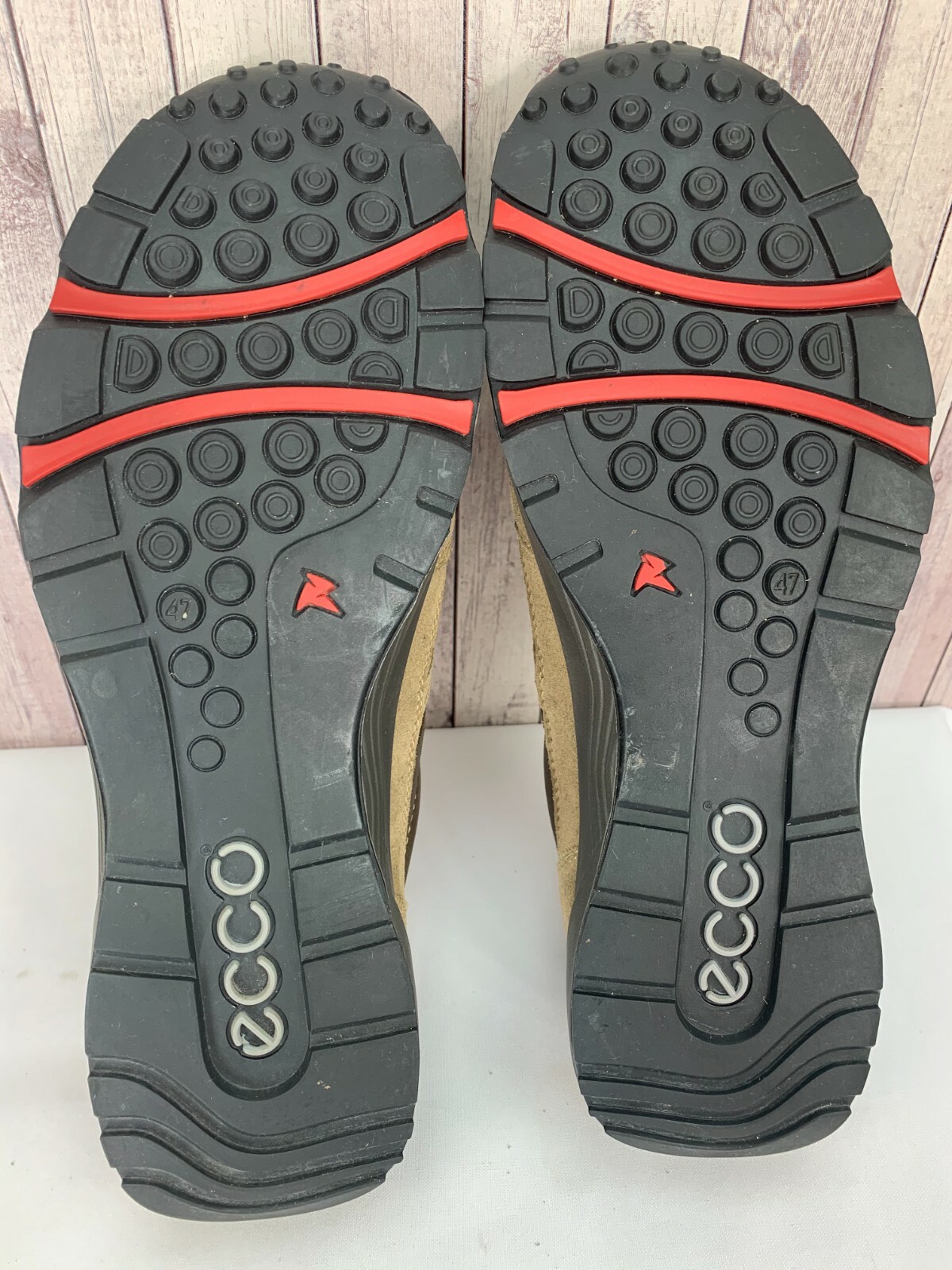 ecco receptor review