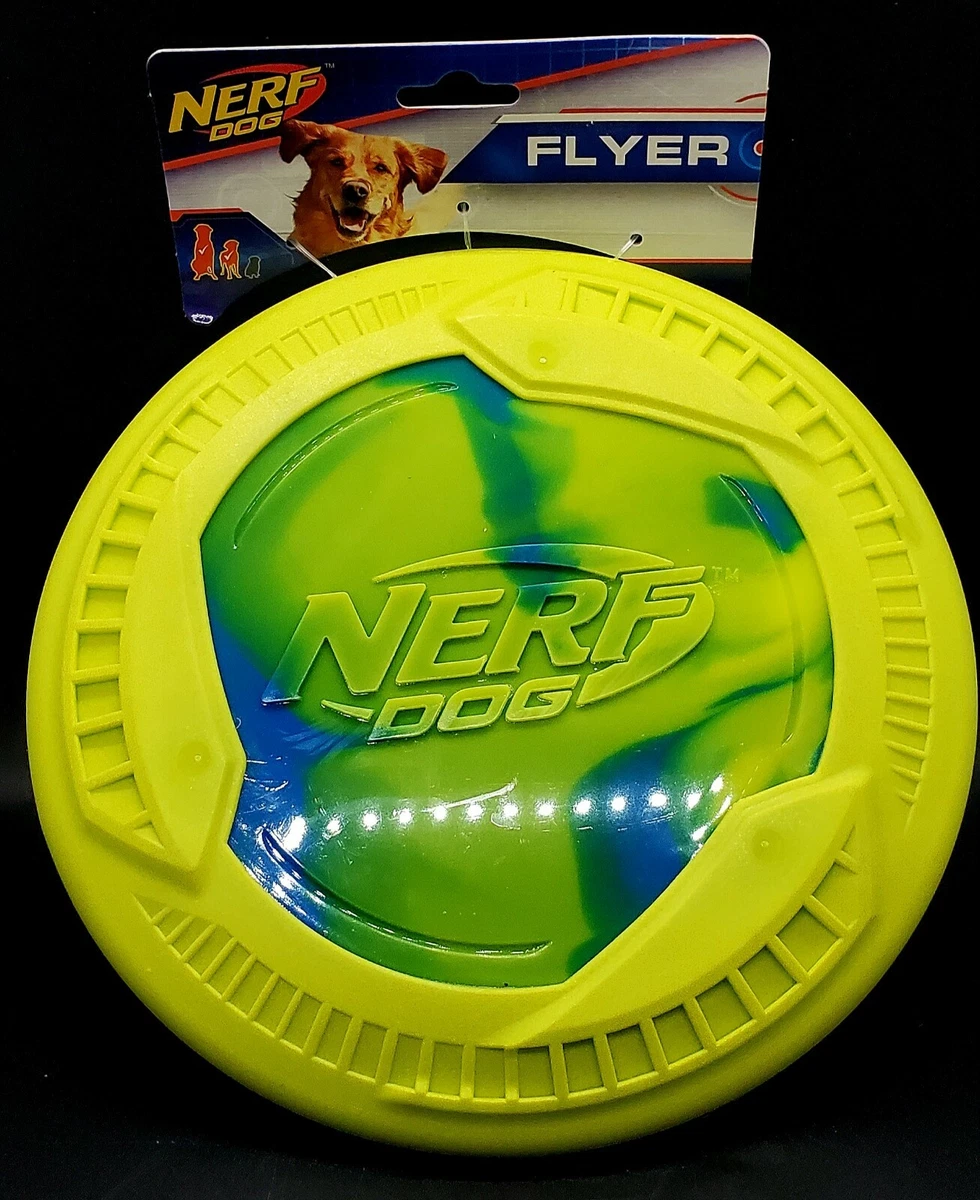 Foam dog shop frisbee