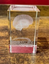 Adderall XR Acrylic Etched Glass Brain Collectible Model