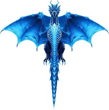 Large Dragon Kite for Kids and Adults, Easy to Fly with 300ft String, Perfect fo