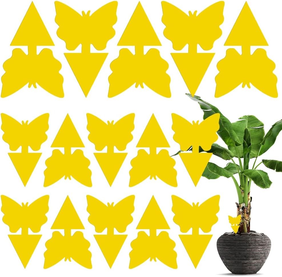 15 Pack Fruit Trap, Yellow Fly Catcher Fungus Gnat Killer, Double-Sided Sticky