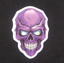 Colorful Cool  Creepy Evil Skeleton Sticker 2.38" x 1.75" AP 