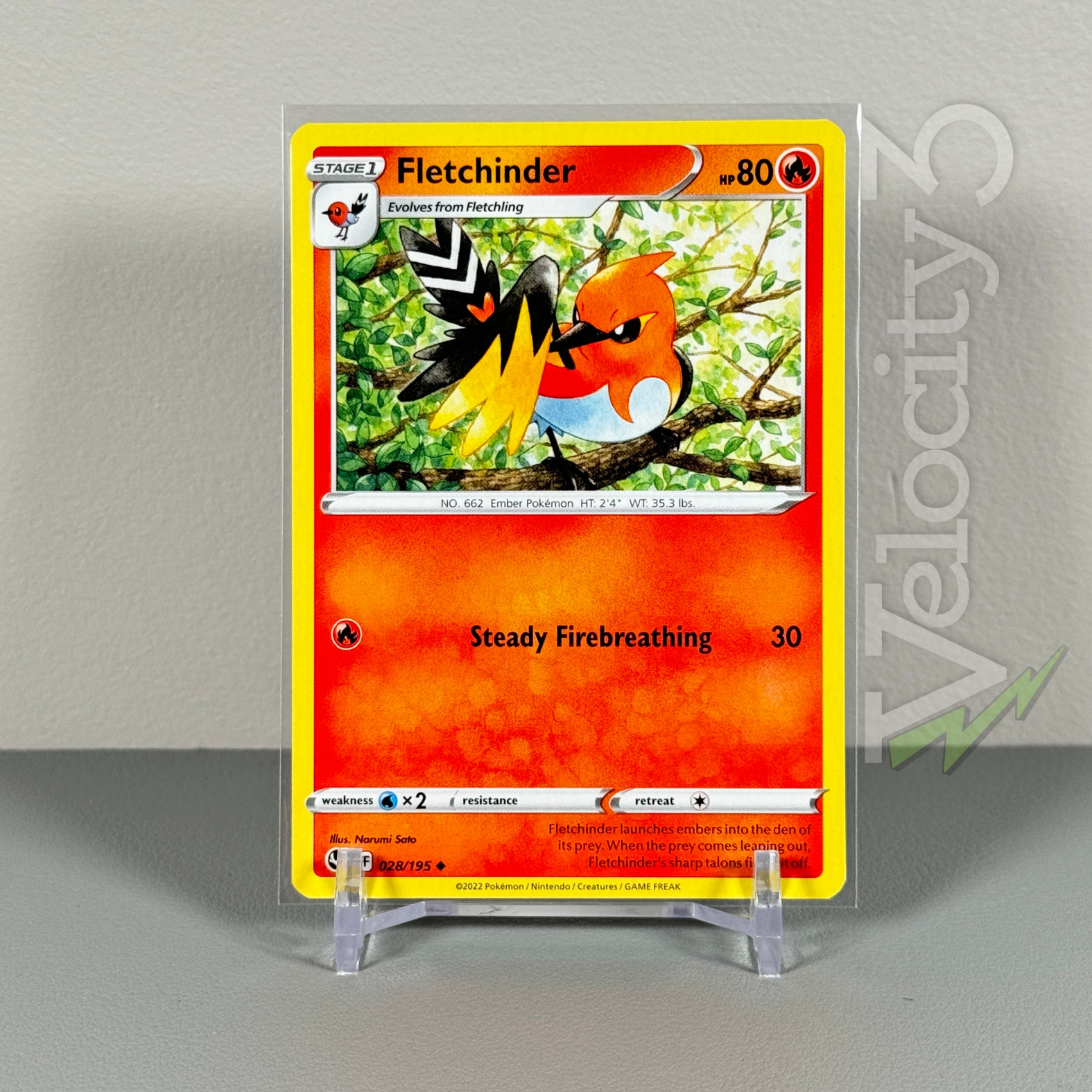 Pokemon TCG Card: FLETCHINDER 28/195 | Uncommon | Silver Tempest | NM/Mint