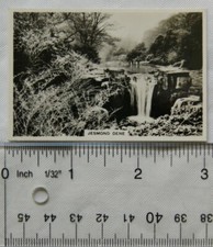 1937 Senior Service Winter Scenes No. 24 Jesmond Dene