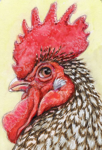 ACEO ORIGINAL Rooster glance back  22-0049  artist Svetlana Ledneva-Schukina