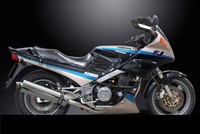 Yamaha 1200 FJ 1991-1996 Paar Ovale Edelstahl-Auspuff-EndschalldäMpfer 450Mm DE