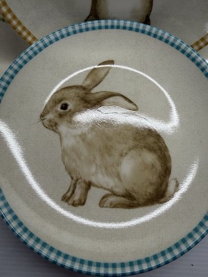 222 Fifth Bunny Land Rabbit Gingham Edge Easter Salad Plates 8