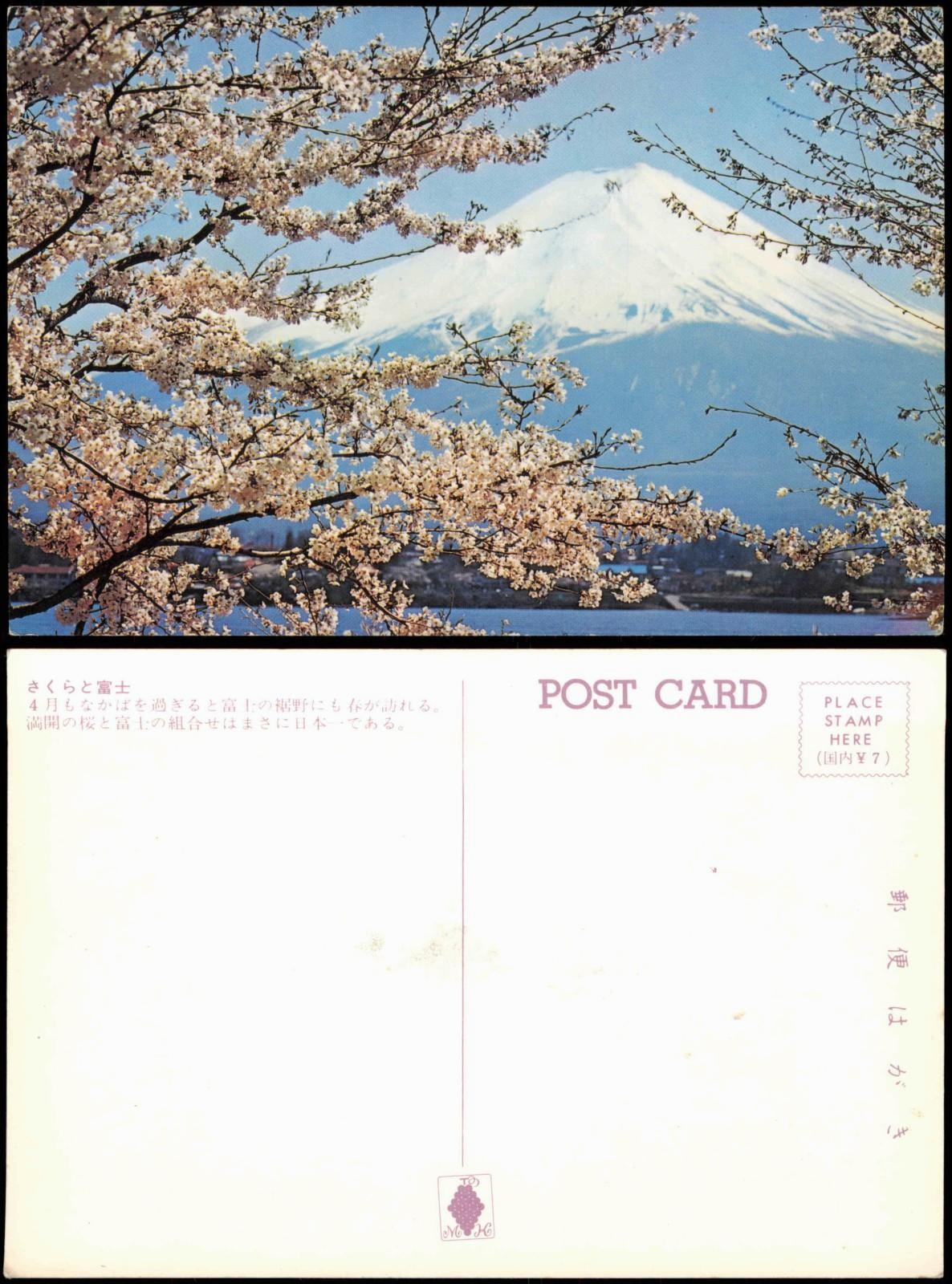 Postal Japón Fujiyama Japón flor de árbol さくらと富士 1978