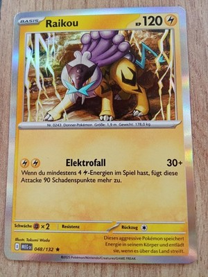 Pokemon Holo Karte Raikou Deutsch 048/132