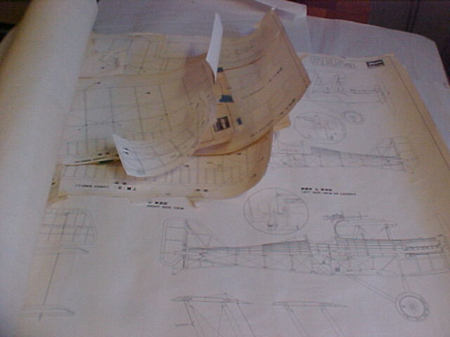 Hasegawa Royal Aircraft Factory S.E.5a 1/8 Scale Museum Model