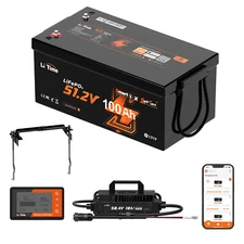 LiTime 48V 100Ah Smart Golf Cart LiFePO4 Lithium Battery Charger Monitor Set