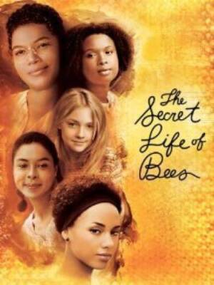 Secret Life of Bees - DVD - GOOD
