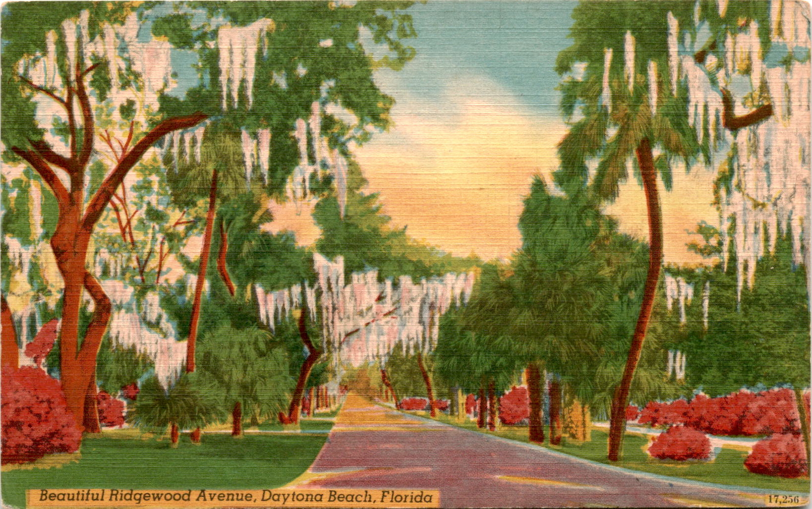 Ridgewood Avenue, Daytona Beach, Florida, Southern Card and Novelty Postcard