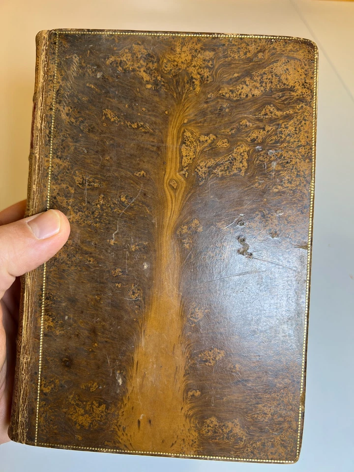 Antique Ornate Fancy Decorative Book Two Years Ago Kingsley Fine Tree Calf 1889 Foto 2 de 4