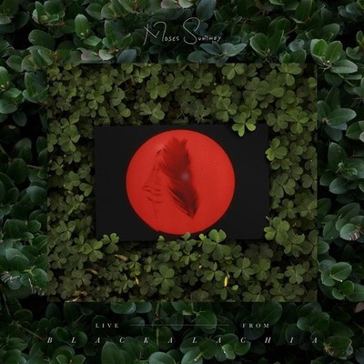 Moses Sumney: Live From Blackalachia - 375 Media - (LP / L)