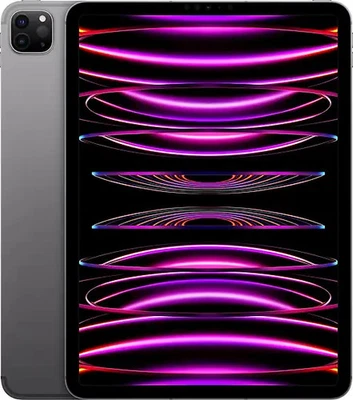 Apple iPad Pro 11-inch (4th generation) · 2TB · Cellular