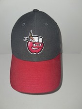 New Ft Wayne Tincaps Youth Size Hat - Minor League Baseball San Diego Padres