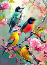 Colorful Birds Diamond Art Kit 5D DIY Bird Painting Craft Decor