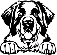 BERNHARDINER Aufkleber - Autoaufkleber - sticker - Bernhardiner Kopf #45