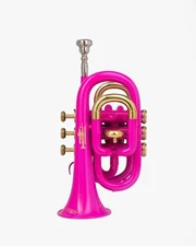 QueenBrass Pocket-Trumpet Bb Pink Brass Gold Trim with Case Mouthpiece NICE,