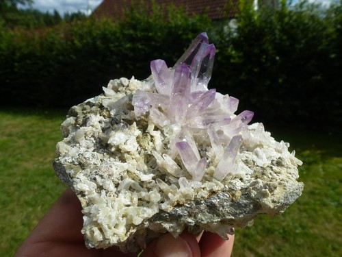 Amethyst Quartz von Las Vigas, Veracruz Mexiko #4