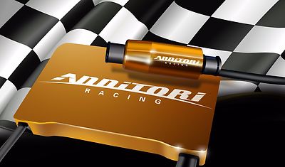 Annitori quickshifter QS PRO 2 - Kawasaki ZX6 ZX-6R ZX10 ZX-10R