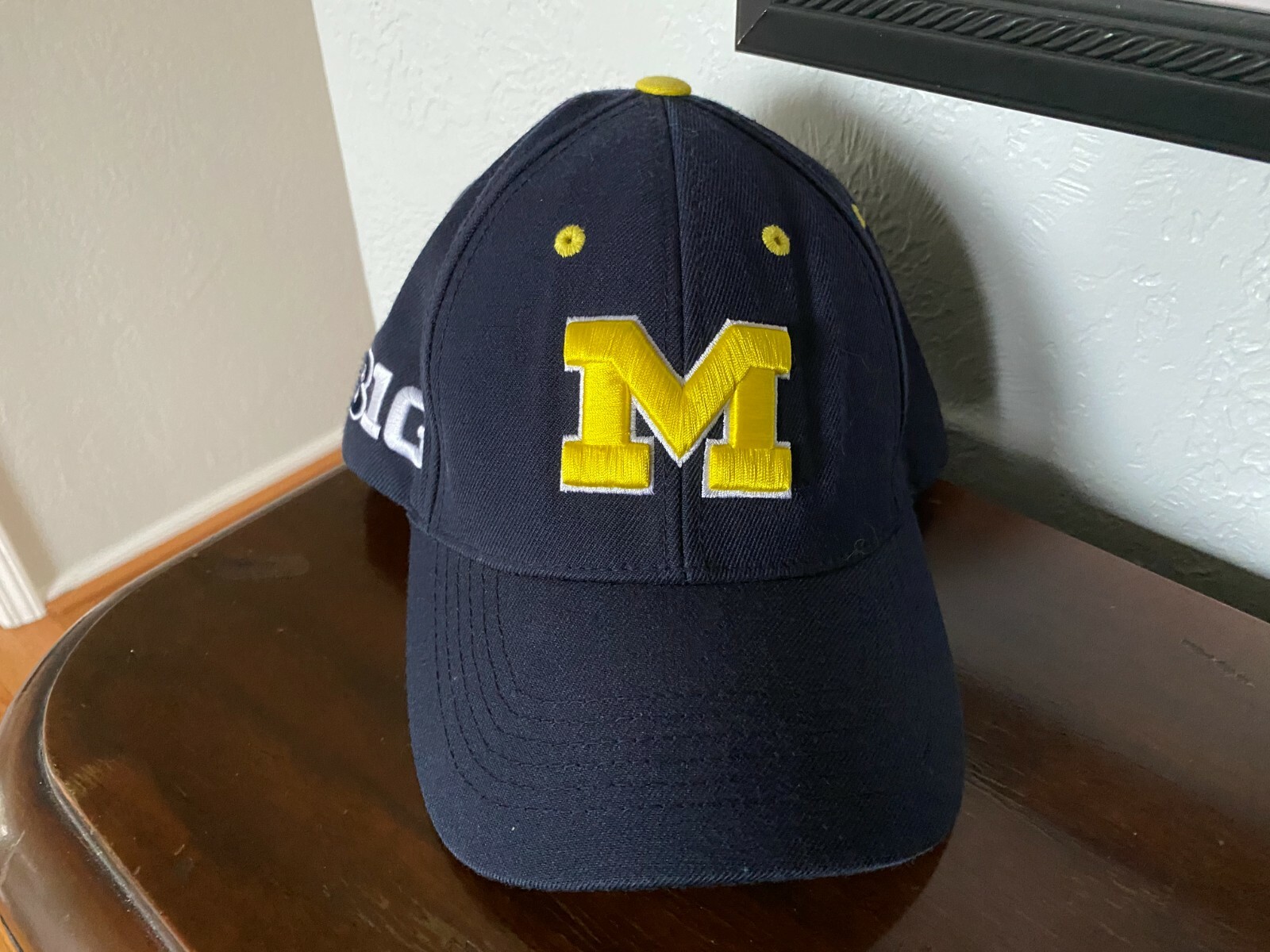 Michigan Wolverines Top Of The World Snap Back Spell Gem