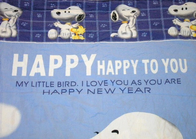 Peanuts SNOOPY Woodstock + Disney POOH Reversible Twin Duvet Cover EUC - Image 2 of 4