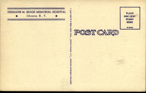 Hermann M Biggs Memorial Hospital ~ Ithaca NY New York ~ vintage postcard - Zdjęcie 2 z 2