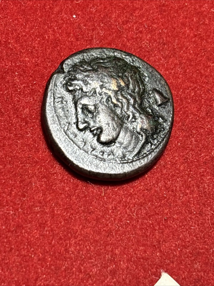 SYRACUSE Sicily 317BC Agathocles Apollo Pegasus Ancient Greek Coin eBay