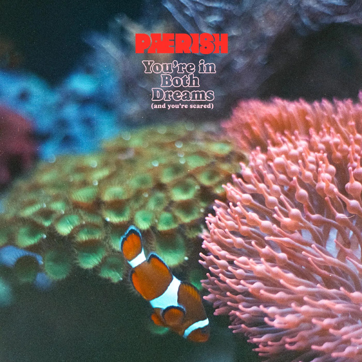 ПЕРИШ - Ты в обоих снах (и ты напуган) НОВЫЙ винил