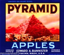 Yakima Washington State Egypt Egyptian Pyramid Apple Fruit Crate Label Art Print