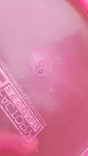 Innova Champion Wombat3 176g Never Thrown Star Wombat - Picture 4 of 5