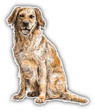 Labrador Retriever Sketch Car Bumper Sticker Decal "SIZES''