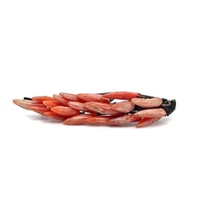 Antique Eduardian Natural Undyed Red Coral Banana Bunch Pin