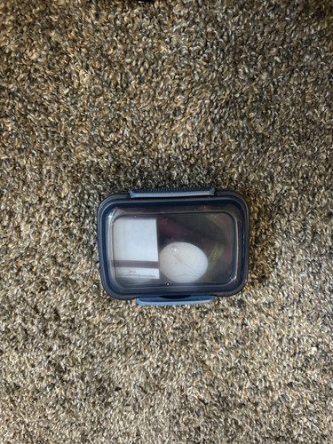 Large Kosher Shabbos Travel Kit with Multiple Candles, Matches & Besamim - Picture 4 of 4
