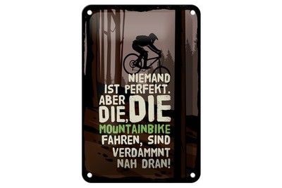 Blechschild 20x30cm gewölbt Fahrrad Niemand Perfekt aber die die Mountainbike