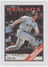 1988 O-Pee-Chee Blank Back Rich Gedman #245 fm0