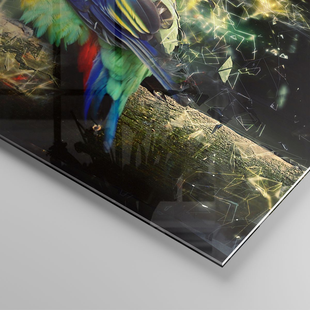 Magnifique Tableau Sur Verre 120x50cm – Oiseaux Au Soleil, Déco Murale Moderne, Design Arttor, Neuf.