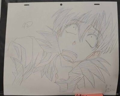**NEW**  Hellsing Ultimate SERAS VICTORIA Genga sketch set