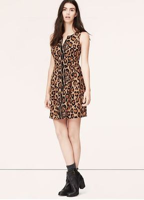 Boots Ann Taylor Animal Print Dress New Ann Taylor LOFT Animal