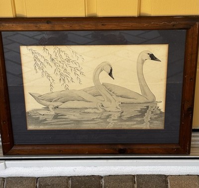 Vintage Framed Pencil Sketch Whistling Swans  by E. Hublick 18 x 22  1982
