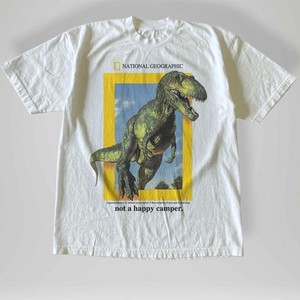 Vintage Dinosaur Shirt | eBay