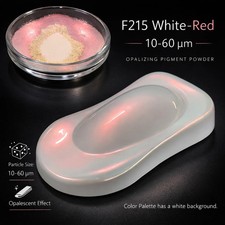 Pearl Opalescent Pigment Powder Flip Paint Car Auto for DIY Spray White Chrome