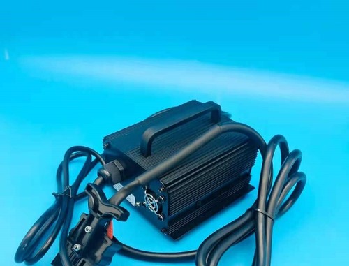 Carrello elevatore elettrico movimentatore bestiame terreno caricatore SWCH24V10A-B - Foto 1 di 3