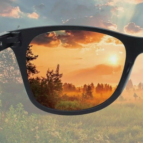 Polaryte Photochromic - Occhiali da sole fotocromatici \u0026 polarizzati ( OFFERTA) | eBay