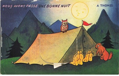 74 THONES #FG55305 SYSTEM CARD WE HAVE A GOOD NIGHT CAMPING OWL tent